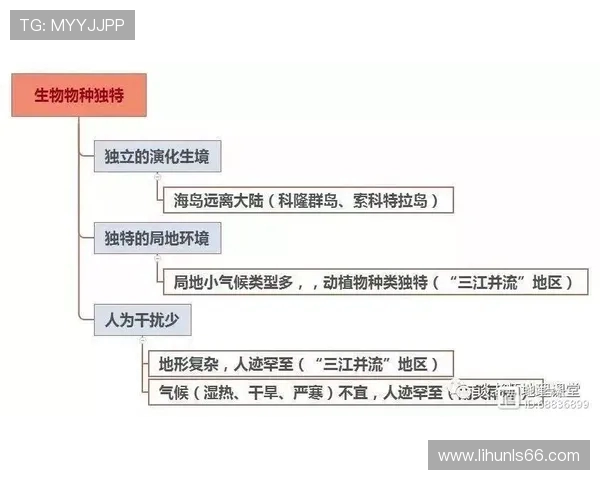 全方位解析体育运动的多样性与发展趋势,探索未来体育产业的创新与挑战 全方位解析体育运动的多样性与发展趋势,探索未来体育产业的创新与挑战